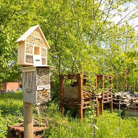 Apartamento Mit Parkplatz & Garten In Petersdorf Fehmarn