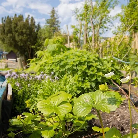 Apartamento Mit Parkplatz & Garten In Petersdorf Fehmarn