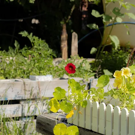 Mit Parkplatz & Garten In Petersdorf Fehmarn
