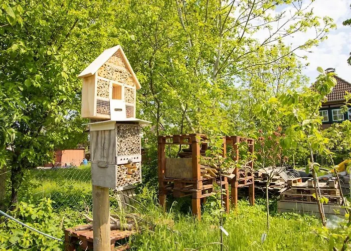 アパート Mit Parkplatz & Garten In Petersdorf フェーマルン